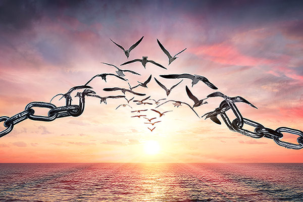 The Healing Library - Are promises enough? Six Signs of True Repentance ...
